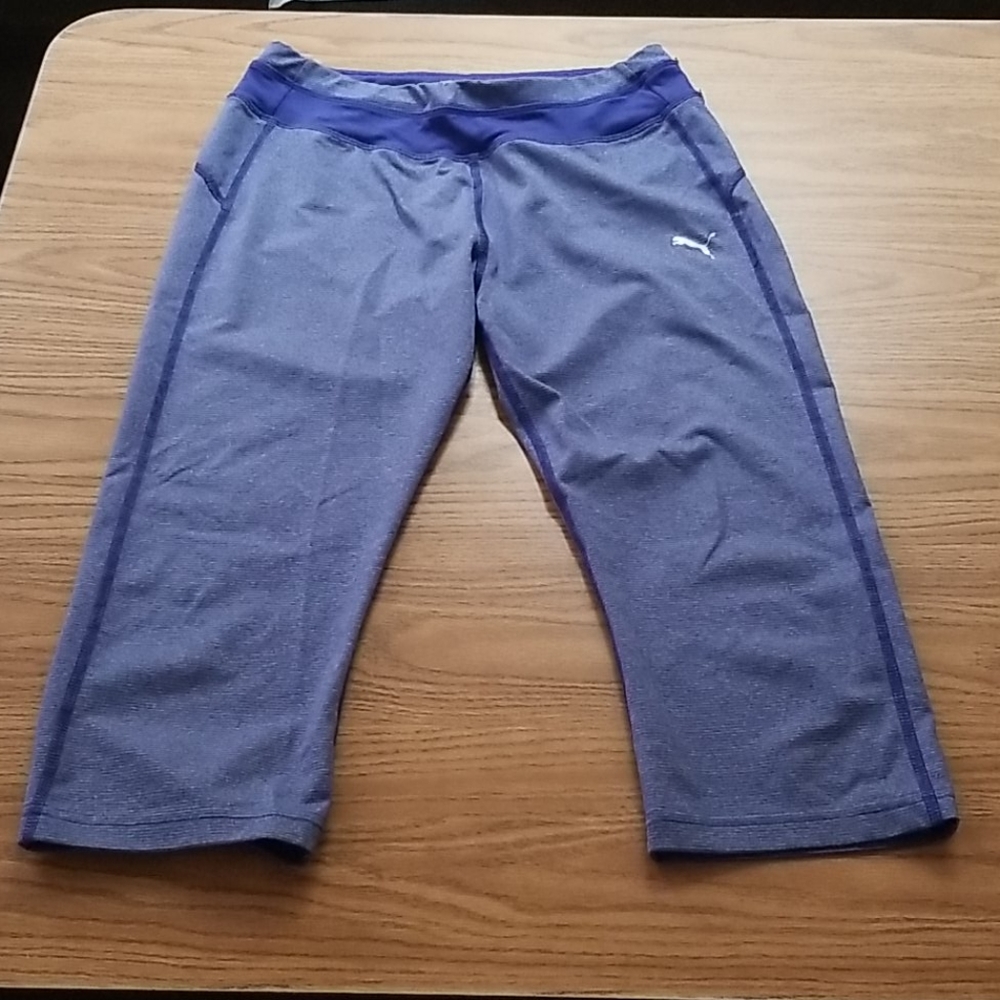 Puma capris